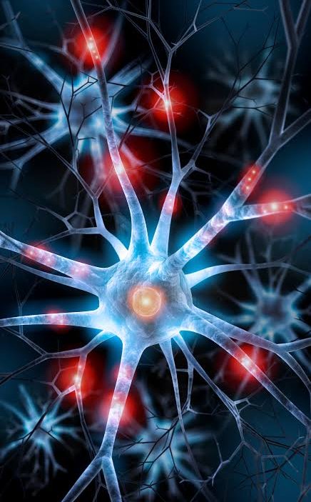 International Journal of Neurology & Neuroscience Research