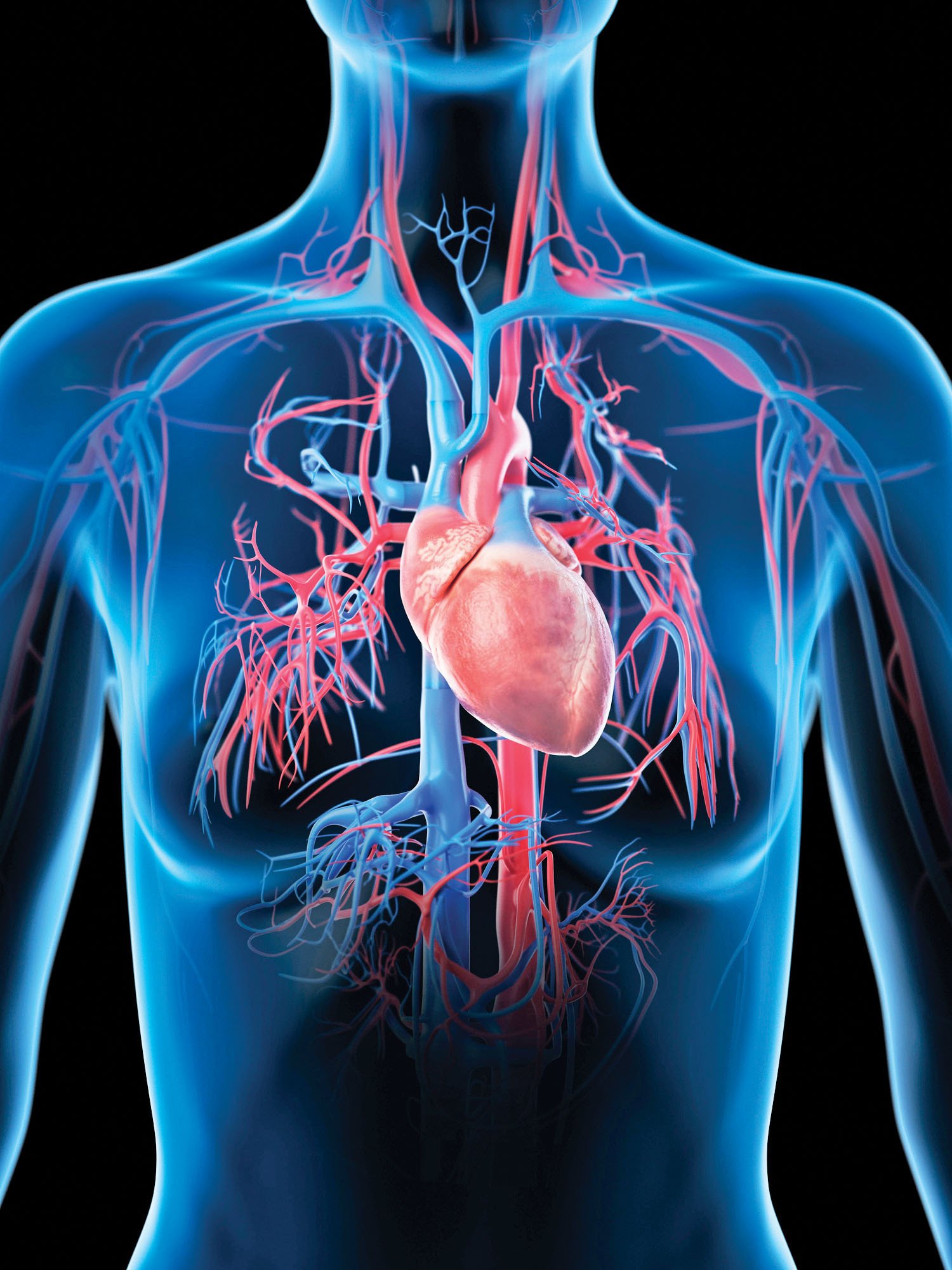Cardiology Research & Cardiovascular Diseases